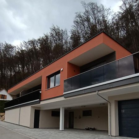 Ferienwohnungen Am Schlossberg 里登堡 外观 照片